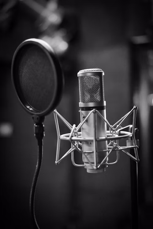 Microphones For Singing