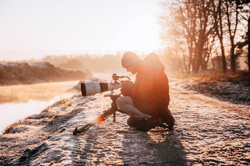 top Camera For Wildlife Photography